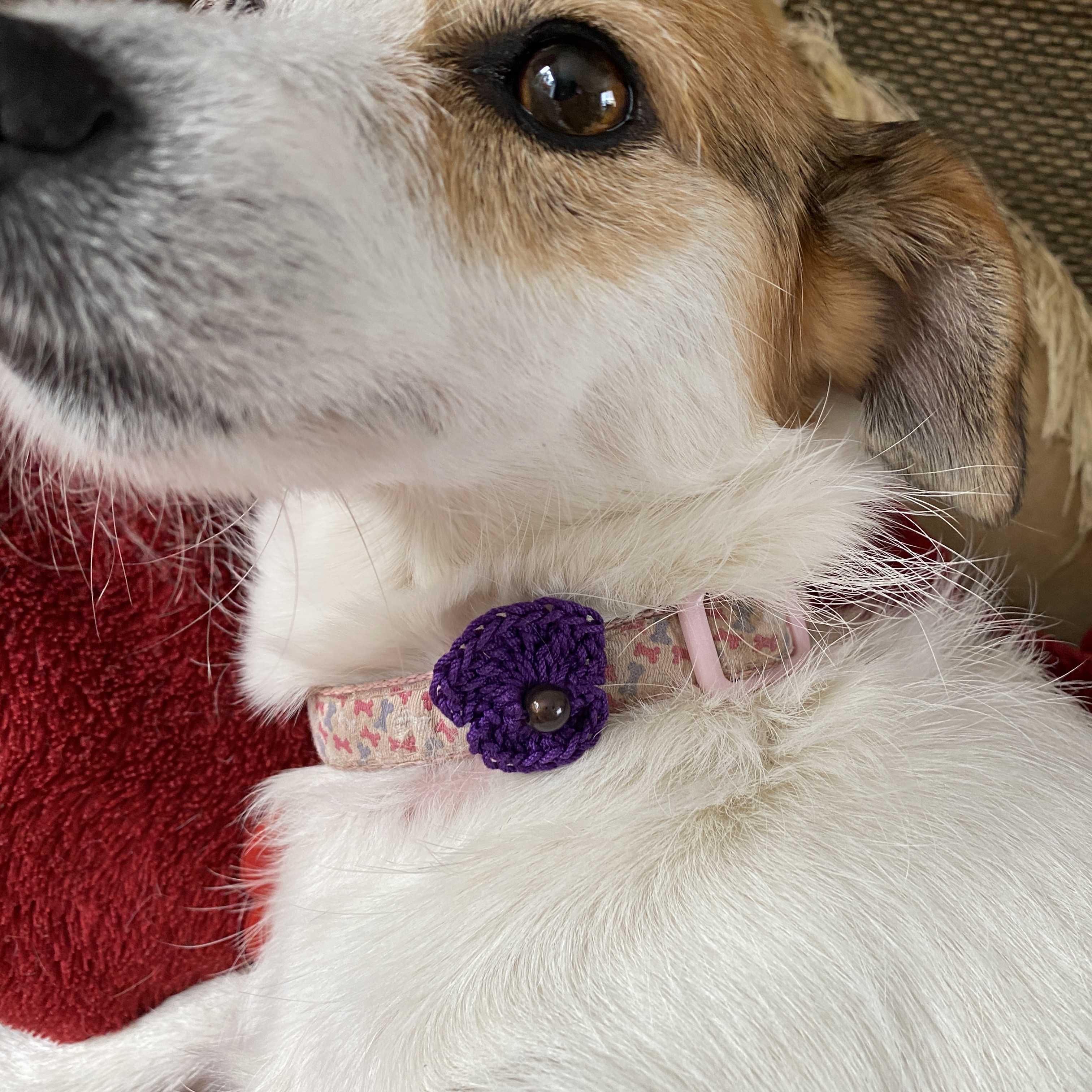 Purple Poppy Brooch Pin