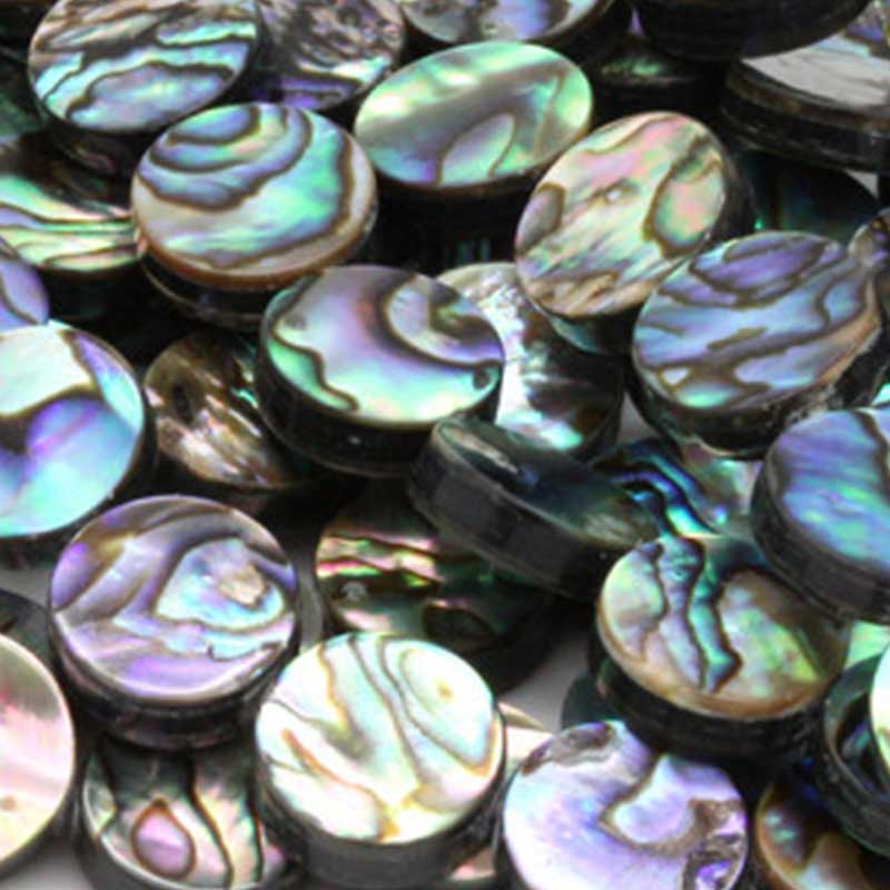 Abalone