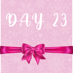 Day 23